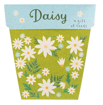 SOW 'N SOW - Daisy Gift of Seeds