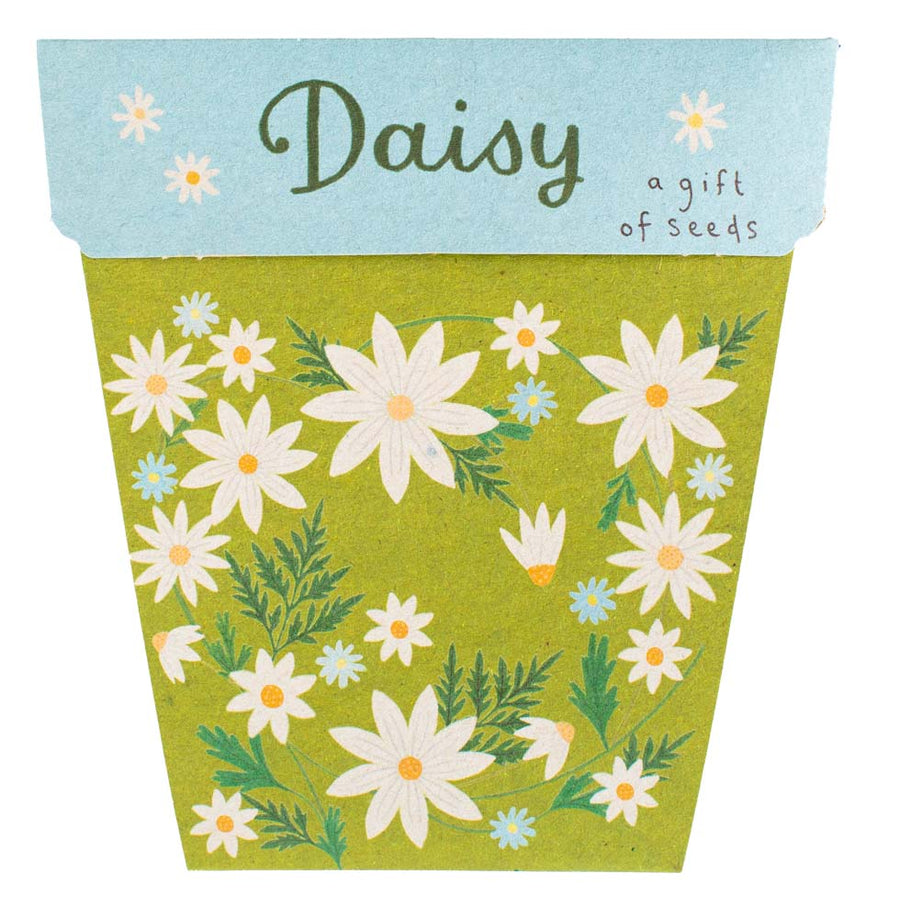 SOW 'N SOW - Daisy Gift of Seeds