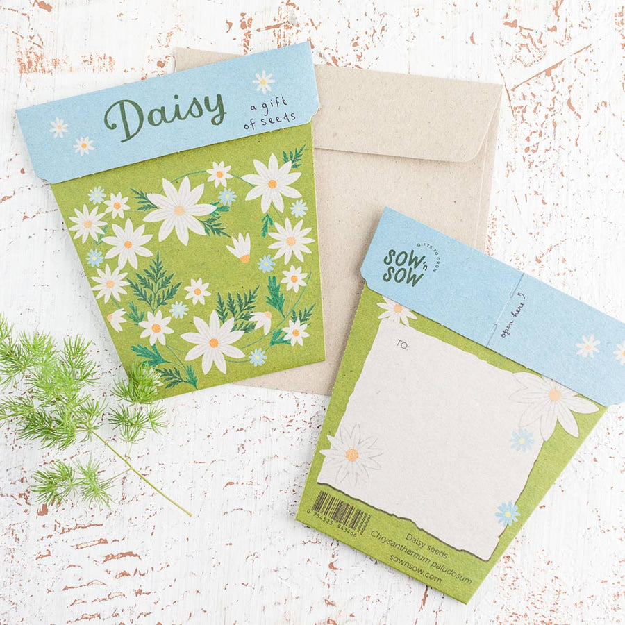SOW 'N SOW - Daisy Gift of Seeds