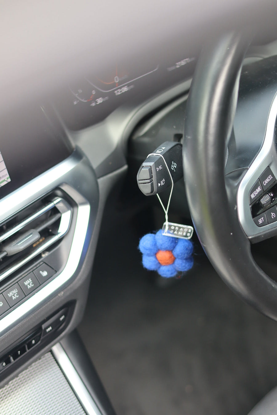 GRACE AND JAMES - Raspberry & Pomegranate Felt Air Freshener