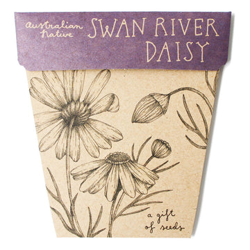 SOW N SOW - SWAN RIVER DAISY