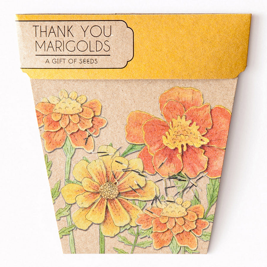 SOW N SOW - THANK YOU MARIGOLDS
